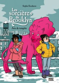 Pochette de Les sorcières de Brooklyn, Tome 02 : Avis de tempête